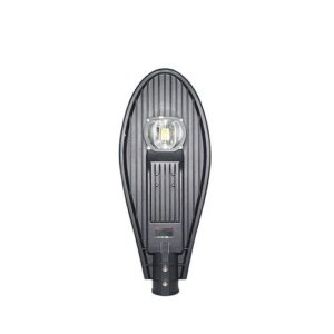 30W Street Light Dolphin